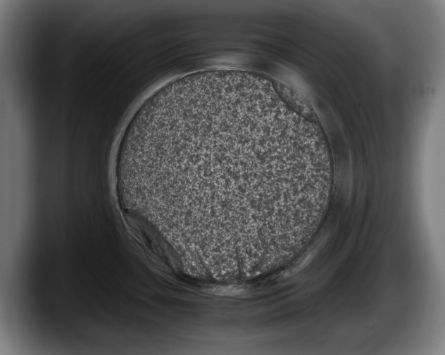 X0000087581435200705251832