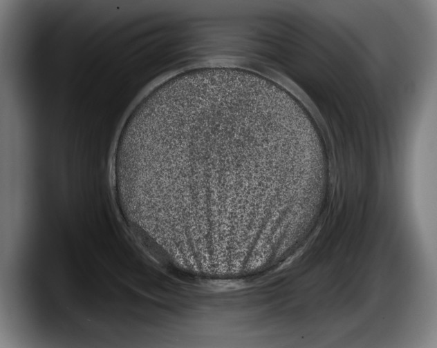 X0000087581436200705251832