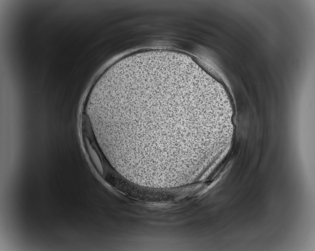 X0000087581437200705251832