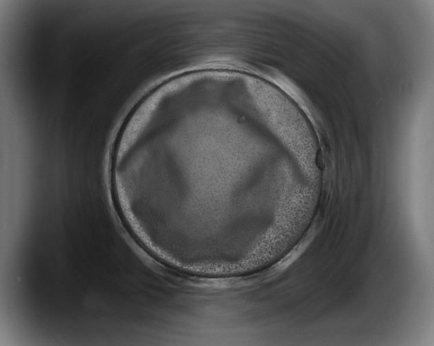 X0000087581438200705251832