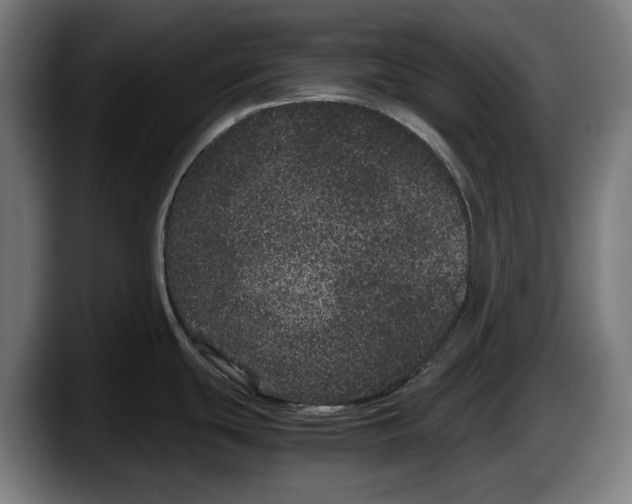 X0000087581439200705251832