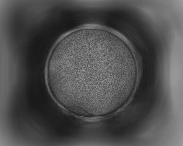 X0000087581440200705251832