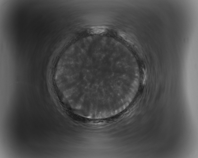 X0000087581441200705251831
