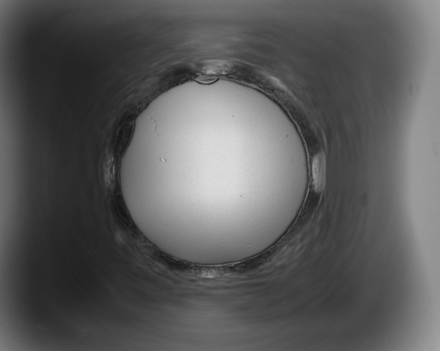 X0000087581443200705251831