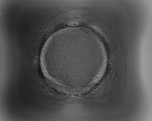 X0000087581445200705251831
