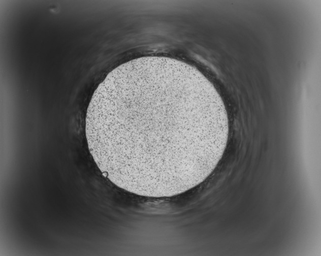X0000087581447200705251831