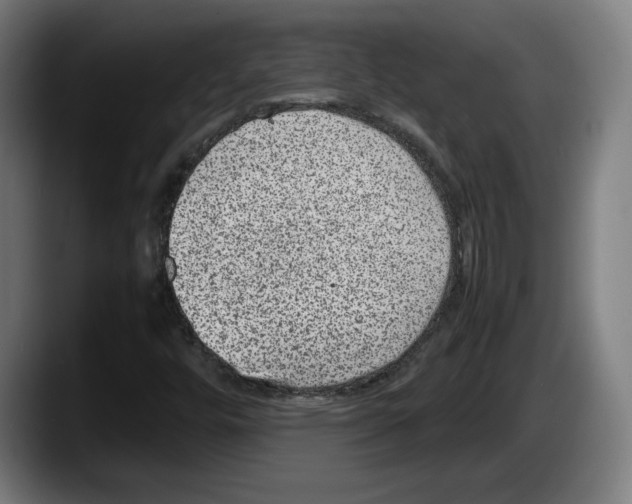 X0000087581448200705251831