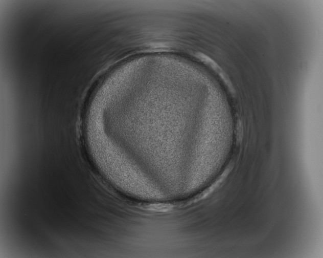 X0000087581449200705251831