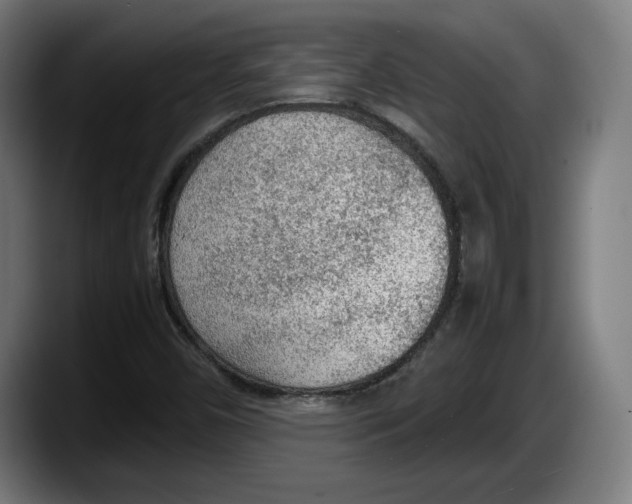 X0000087581450200705251831