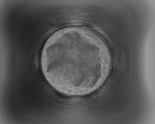 X0000087581451200705251831