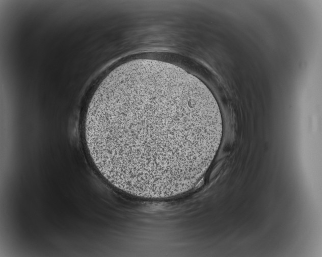 X0000087581452200705251831