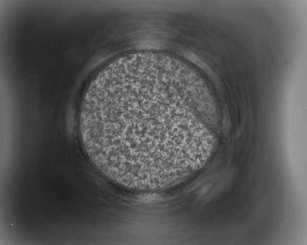 X0000087581454200705251831