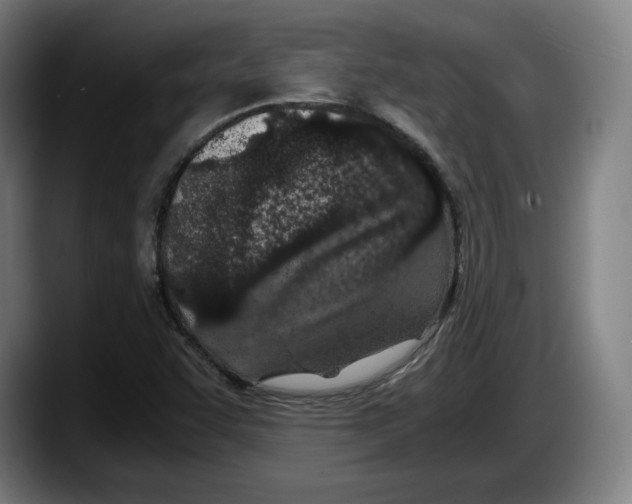 X0000087581455200705251831