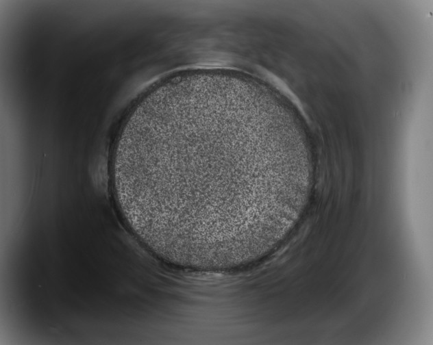 X0000087581456200705251831