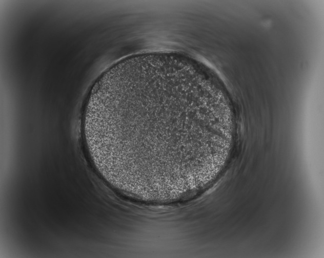 X0000087581459200705251831