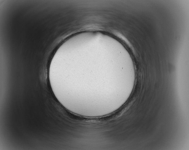 X0000087581461200705251831