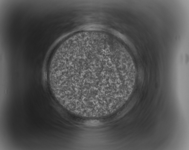 X0000087581462200705251831
