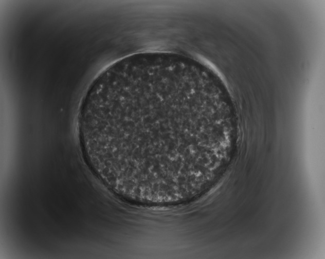 X0000087581463200705251831