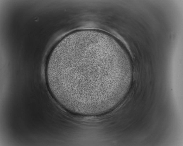 X0000087581464200705251831