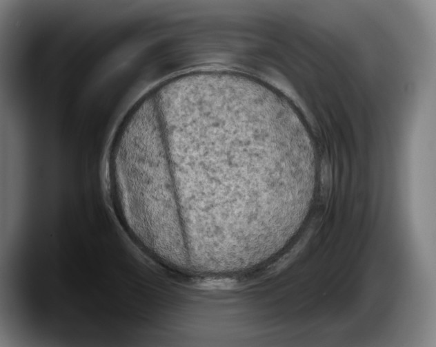 X0000087581466200705251831