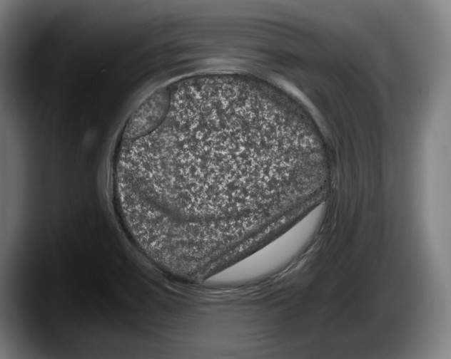 X0000087581467200705251831