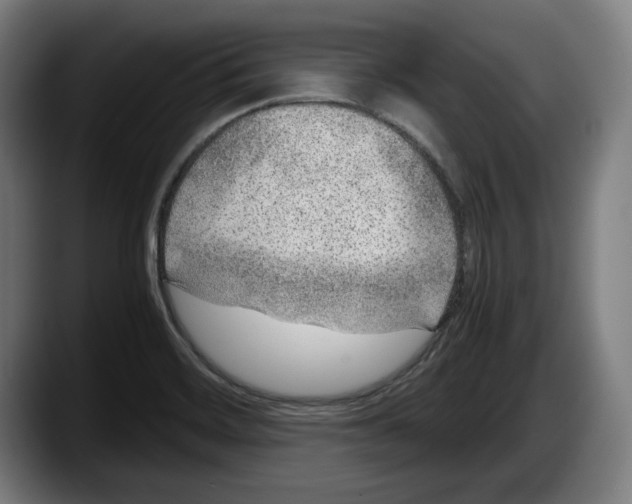 X0000087581468200705251831