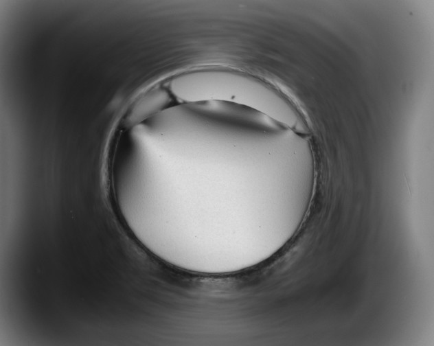 X0000087581469200705251831