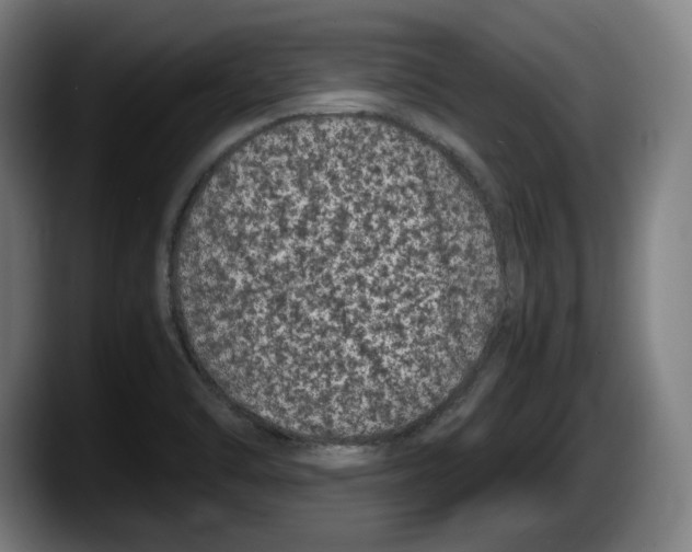 X0000087581470200705251831