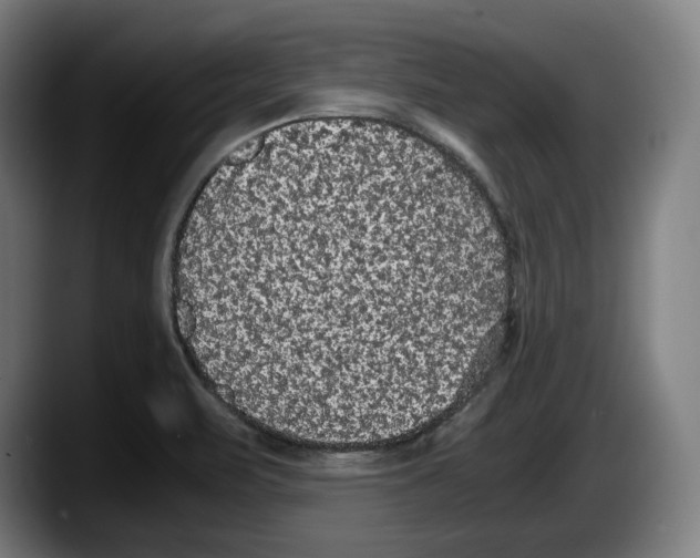 X0000087581471200705251831