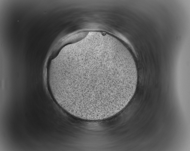 X0000087581472200705251831
