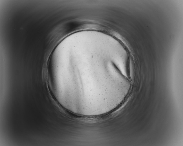 X0000087581473200705251831