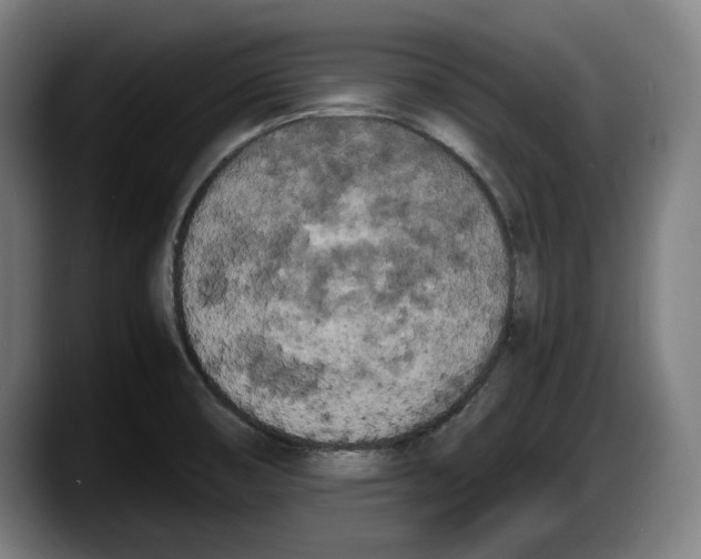 X0000087581474200705251831