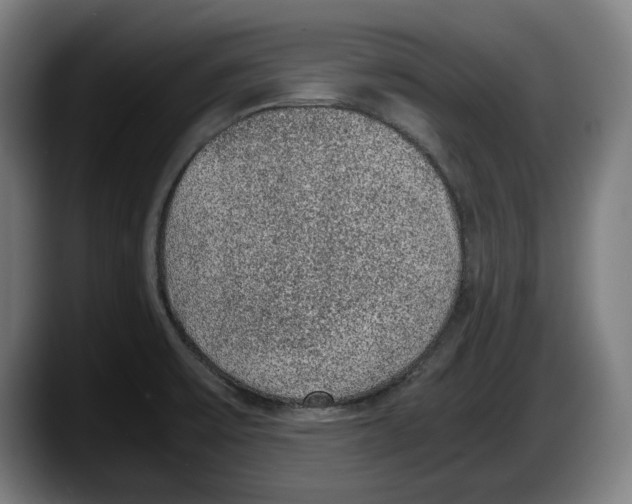 X0000087581475200705251831