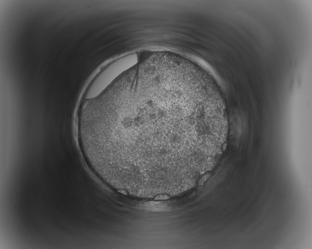 X0000087581476200705251831