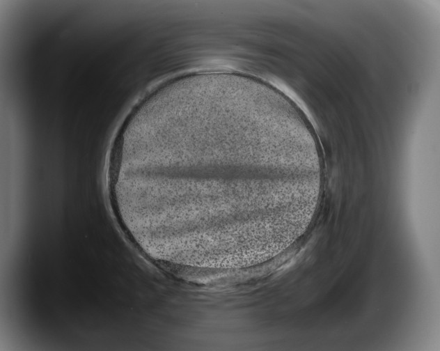 X0000087581477200705251831