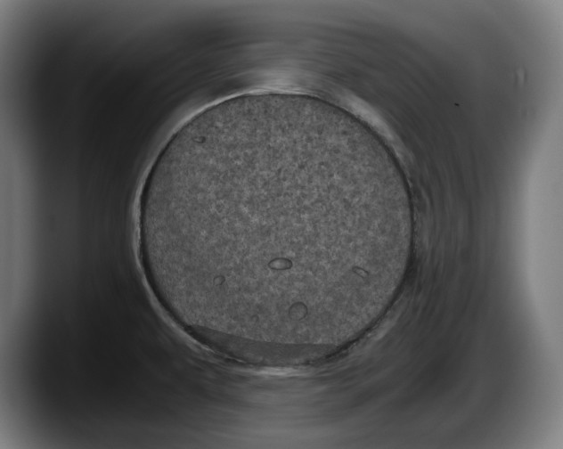 X0000087581479200705251831