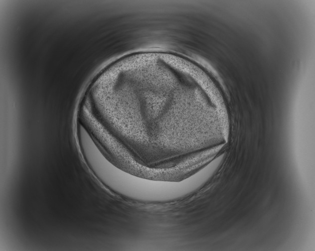 X0000087581480200705251831
