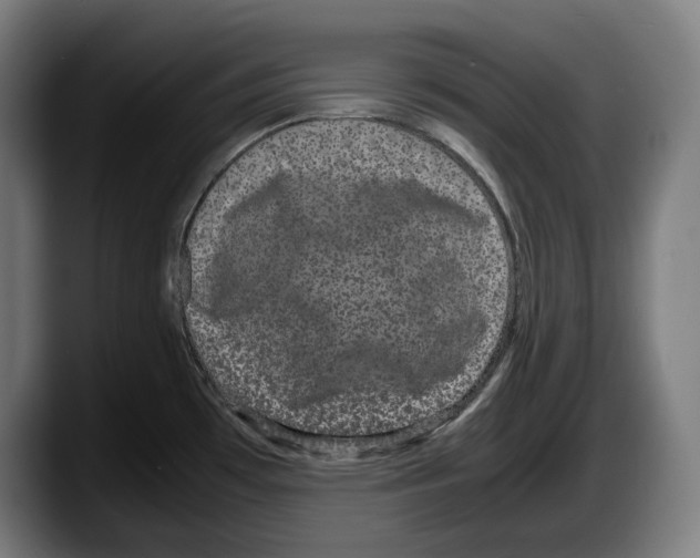 X0000087581481200705251831