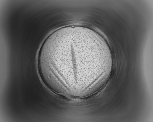 X0000087581483200705251831