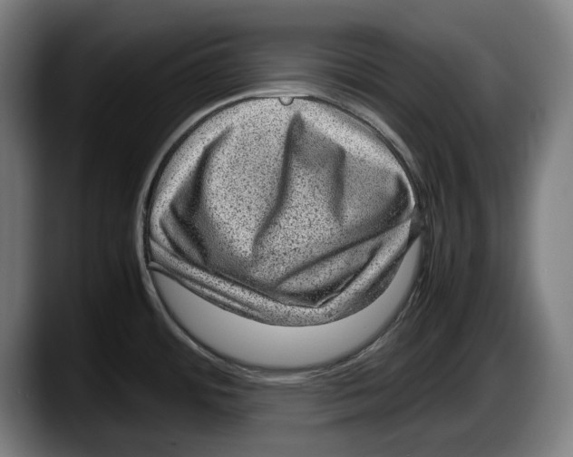 X0000087581484200705251831