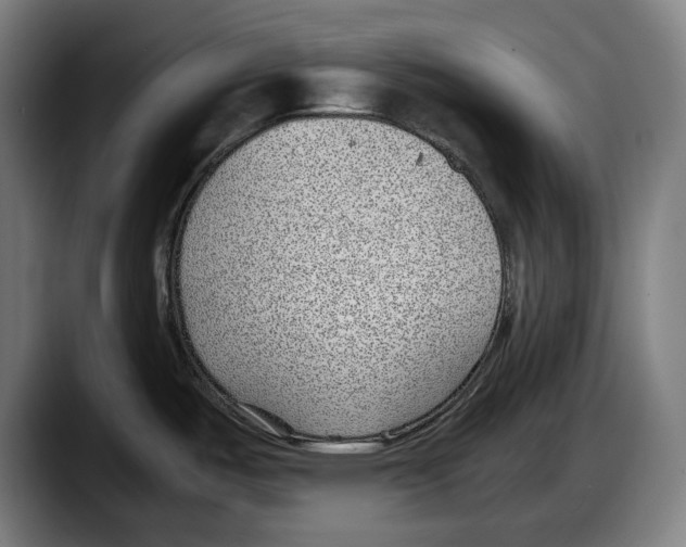 X0000087581487200705251831
