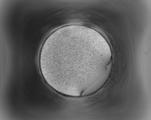 X0000087581488200705251831