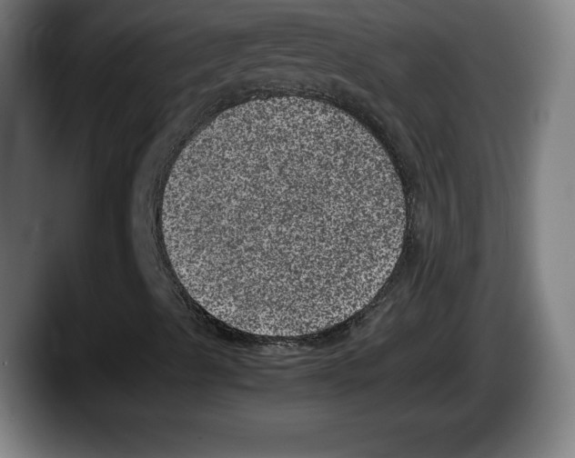 X0000087581489200705251830