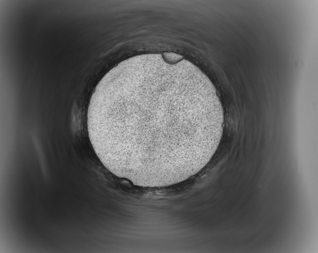 X0000087581490200705251830