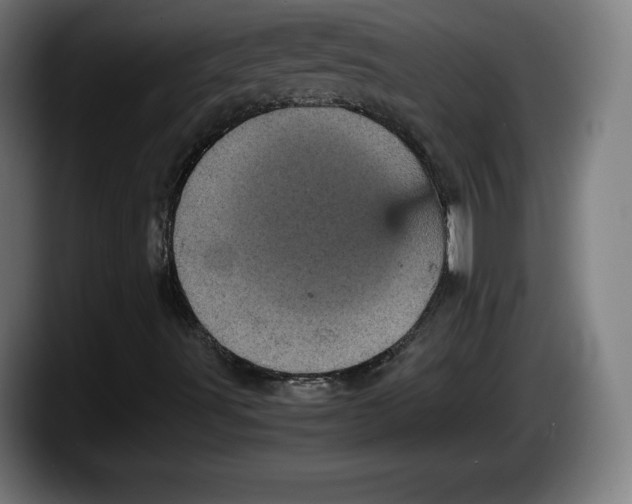 X0000087581491200705251830