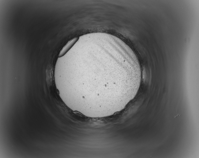 X0000087581492200705251830