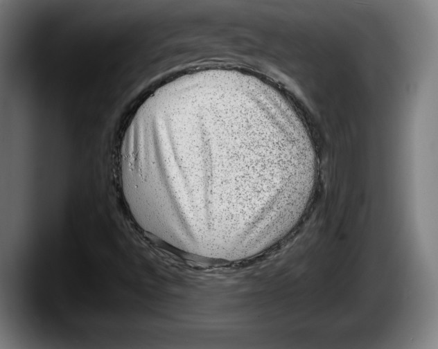 X0000087581496200705251830