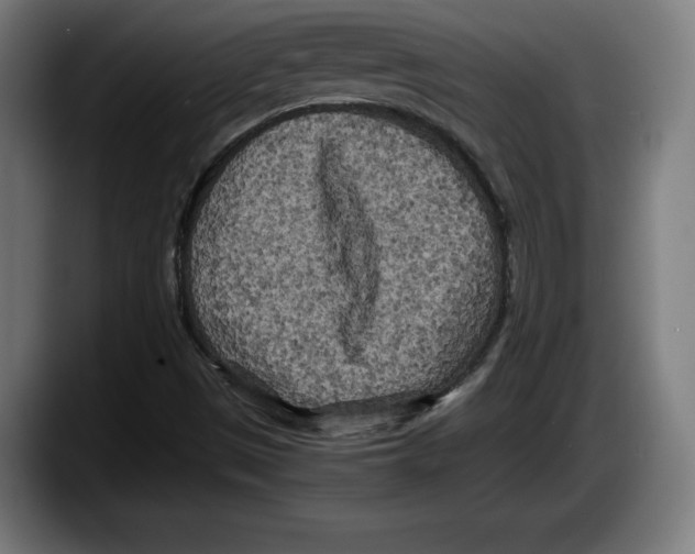 X0000087581497200705251830