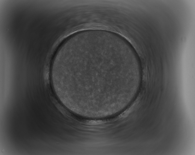 X0000087581499200705251830