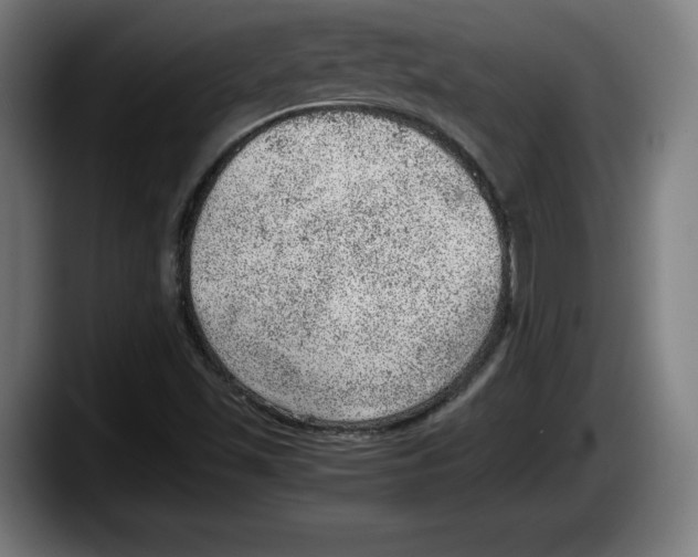 X0000087581501200705251830